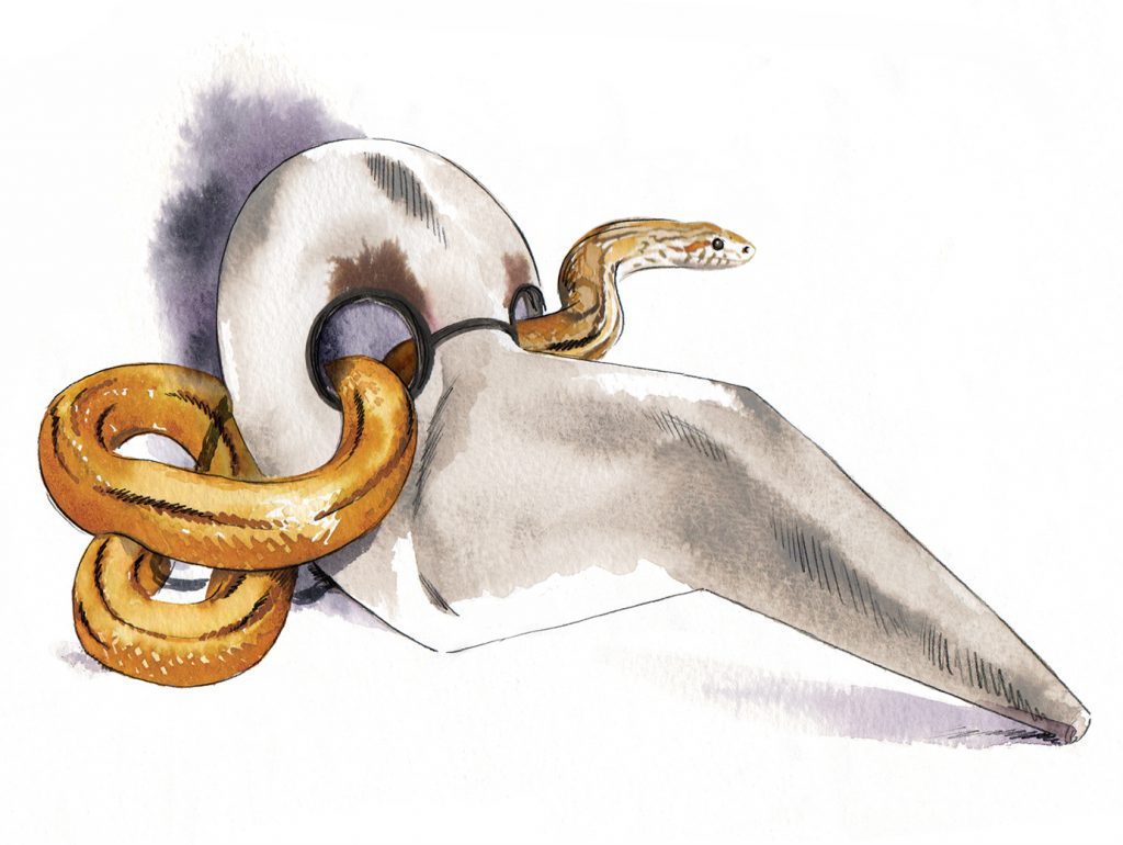 Illustration Wildlife GQ Magazine Snake Hypocrisy Mask Plaguedoctor