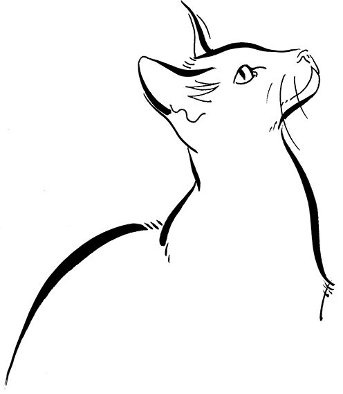 Illustration Wildlife Cat Siamese Line Logo Mono Line