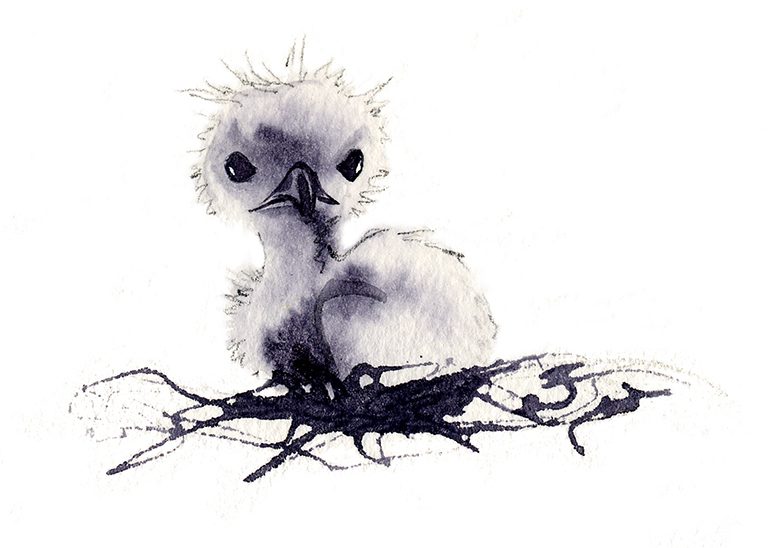 Illustration Wildlife Fab Design Character Design Fledgling Baby Bird.mono