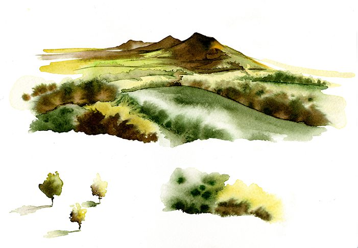 Illustration Scenic McClelland Whisky Packaging Scotland Scottish Highlands Watercolour