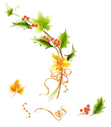 Illustration Flora Fab Design Christmas Xmas Holly Decorations Gift Cards Watercolour