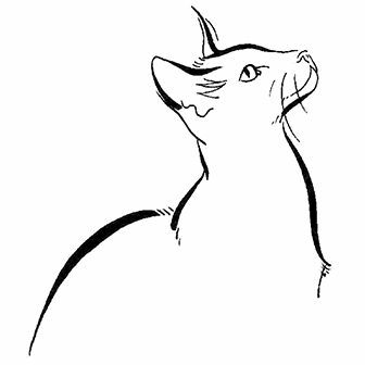 Illustration Line Cat Icon Burmese Morning Animals Brush And Ink