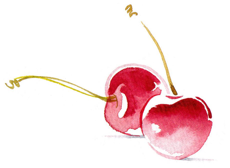 Illustration Food Drink Langston Icecream Flavours Cherry Icon