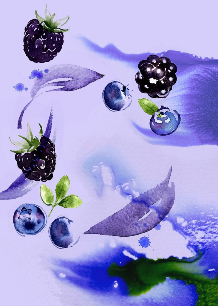 Illustration Food Drink Sainsburys Supermarket Blue Berry Infusion Tea Cold Brew Packaging