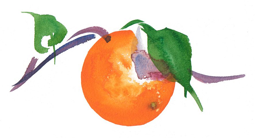 Illustration Food Drink Waitrose Supermarket Chain Fresh Squeezed Orange Juice Packaging