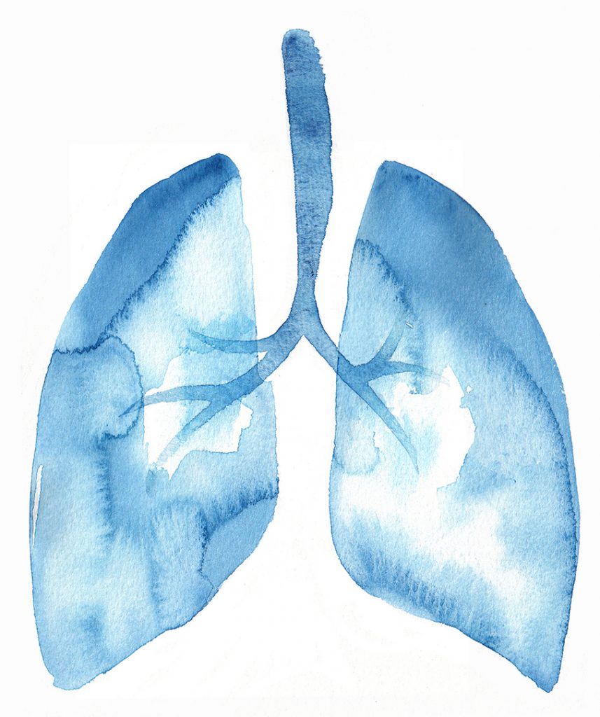 Illustration Medical Dirling Kindersley Anatomy Lungs Cross Section Abstract