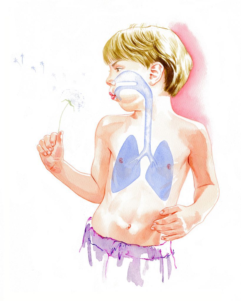 Illustration Medical Dorling Kindersley Breath Anatomy Publishing