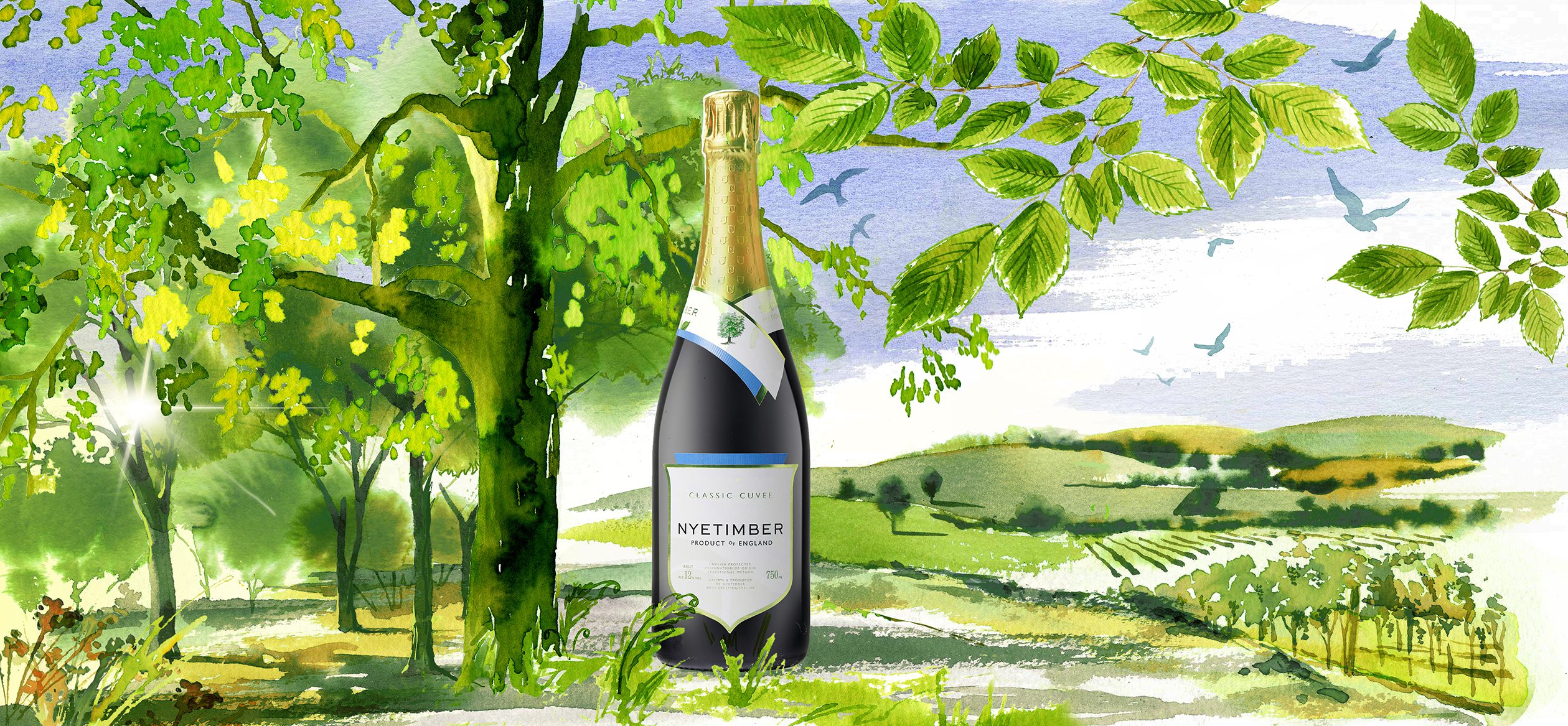 Illustration Projects Packaging Nyetimber Sparkling Wine Wines Online Publicity