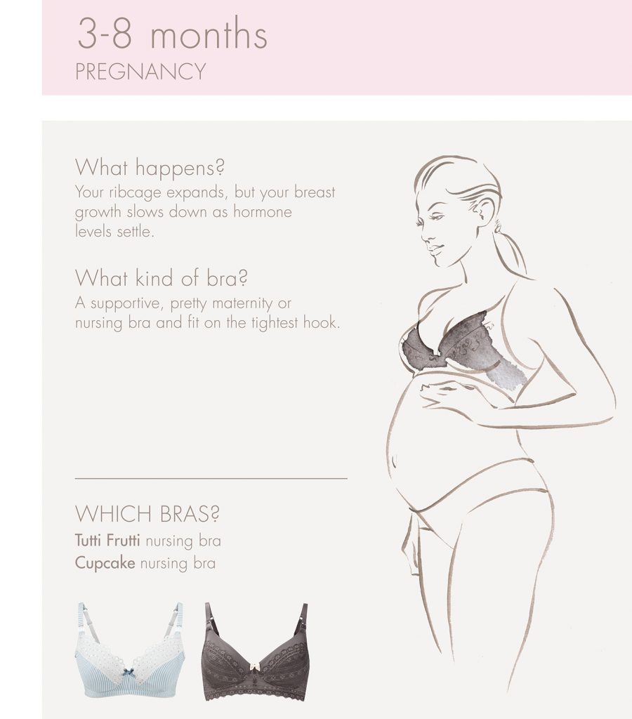 Illustration Medic Pregnancy Development Amoralia 3 8 Months