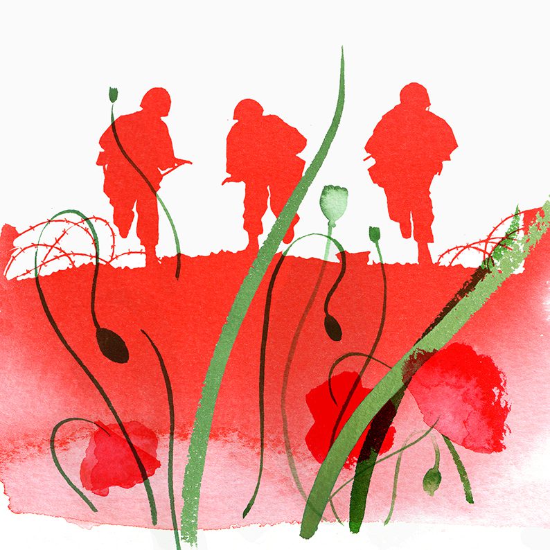 Illustration Jersey Stamps Remembrance Day Flanders Fields