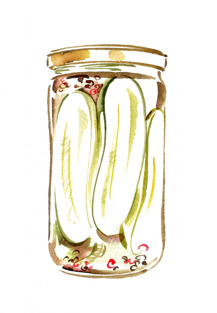 Illustration Publishing Brander Publishing Recipes Pickles