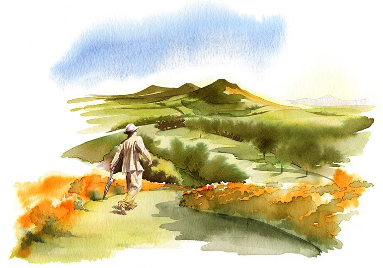 Illustration Mcclelland Whisky Scottish Lowlands